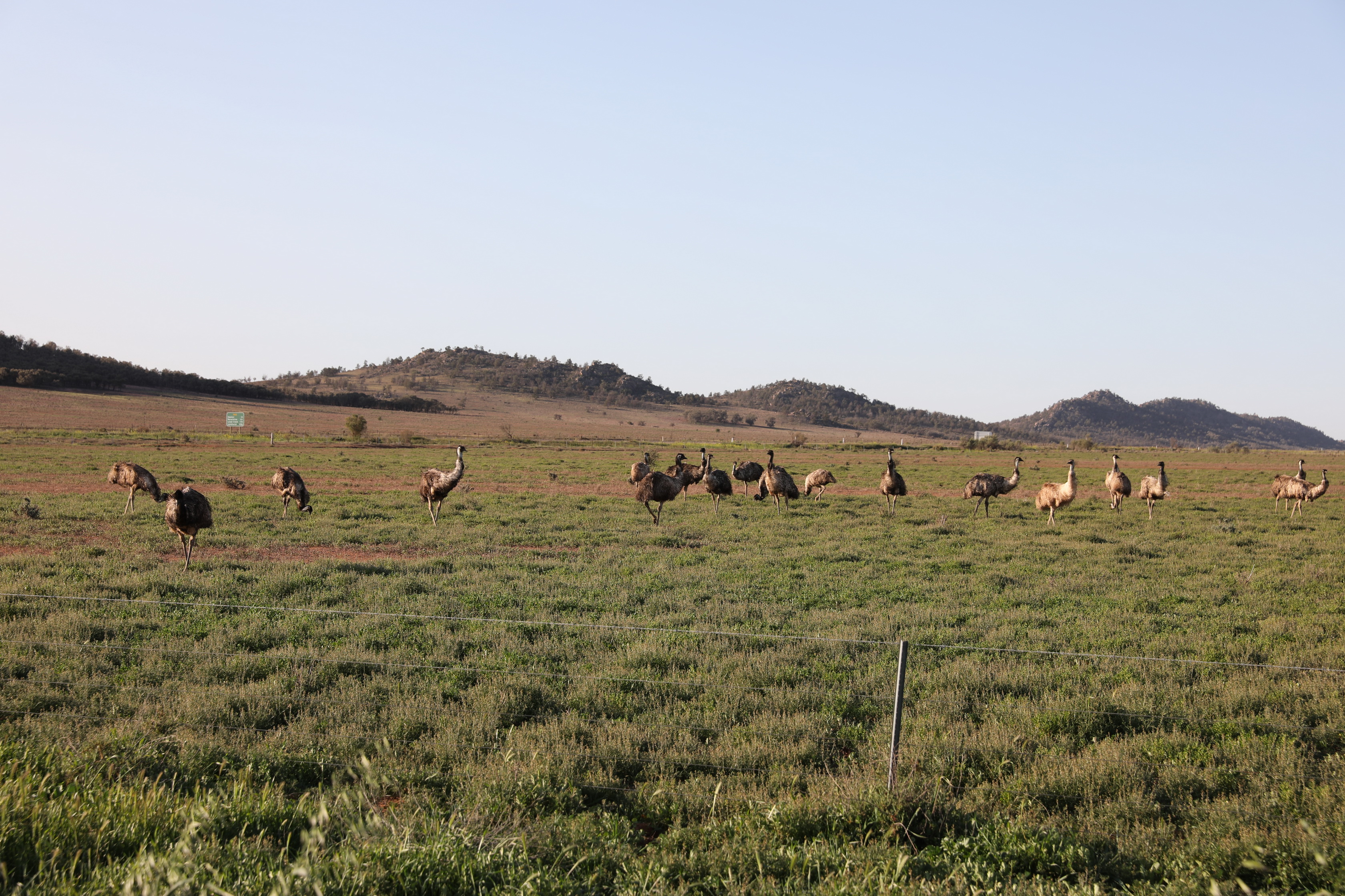 2019 08 31 16 40 42 Canon EOS 5D Mark IV 0021